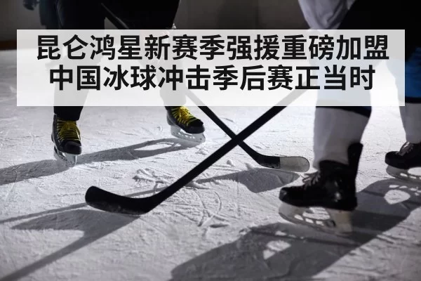 昆仑鸿星新赛季强援重磅加盟 中国冰球冲击季后赛正当时